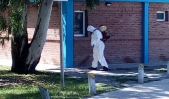 Acciones del Municipio para la prevencin del Hantavirus